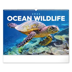 Nástenný kalendár 2026 Podmorský svet