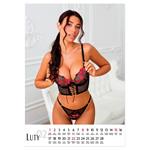Nástenný kalendár 2026 poľský Erotic