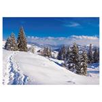 Nástenný kalendár 2026 Potulky prírodou