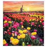 Nástenný kalendár 2026 Rozprávkové miesta sveta