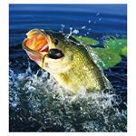 Nástenný kalendár 2026 Rybársky kalendár