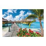 Nástenný kalendár 2026 - Sny leta