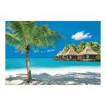 Nástenný kalendár 2026 - Sny leta