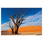 Nástenný kalendár 2026 Svetové národné parky