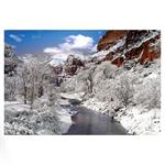 Nástenný kalendár 2026 Svetové národné parky