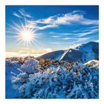 Nástenný kalendár 2026 viazanka - Slovensko