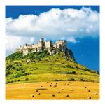 Nástenný kalendár 2026 viazanka - Slovensko