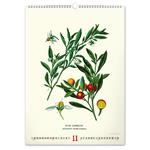 Nástenný kalendár 2026 Vintage plagáty - Herbár