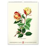 Nástenný kalendár 2026 Vintage plagáty - Herbár