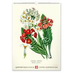 Nástenný kalendár 2026 Vintage plagáty - Herbár