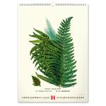 Nástenný kalendár 2026 Vintage plagáty - Herbár