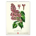 Nástenný kalendár 2026 Vintage plagáty - Herbár