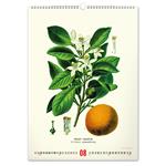 Nástenný kalendár 2026 Vintage plagáty - Herbár