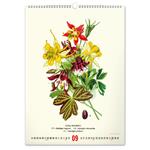 Nástenný kalendár 2026 Vintage plagáty - Herbár