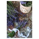 Nástenný kalendár 2026 Voňavý kalendár Kúzlo domova