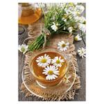 Nástenný kalendár 2026 Voňavý kalendár Kúzlo domova