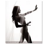 Nástenný kalendár 2026 - Women