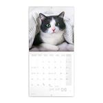 Nástenný poznámkový kalendár 2022 Mačky