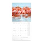 Nástenný poznámkový kalendár 2022 Plameniaky