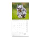 Nástenný poznámkový kalendár 2022 Psy