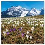 Nástenný poznámkový kalendár 2023 Alpy