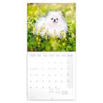 Nástenný poznámkový kalendár 2023 Psy