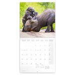 Nástenný poznámkový kalendár 2023 Slony
