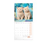 Nástěnný poznámkový kalendář 2024 Koťata