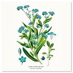 Nástenný poznámkový kalendár 2026 Herbár