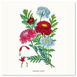 Nástenný poznámkový kalendár 2026 Herbár