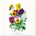 Nástenný poznámkový kalendár 2026 Herbár