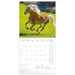 Nástenný poznámkový kalendár 2026 Kone - Christiane Slawik