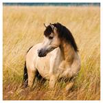 Nástenný poznámkový kalendár 2026 Kone - Christiane Slawik