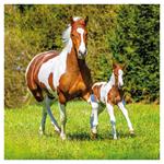 Nástenný poznámkový kalendár 2026 Kone - Christiane Slawik