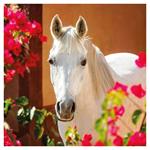 Nástenný poznámkový kalendár 2026 Kone - Christiane Slawik