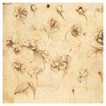 Nástenný poznámkový kalendár 2026 Leonardo da Vinci