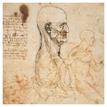 Nástenný poznámkový kalendár 2026 Leonardo da Vinci