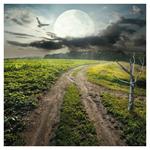 Nástenný poznámkový kalendár 2026 Mesiac