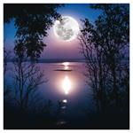 Nástenný poznámkový kalendár 2026 Mesiac