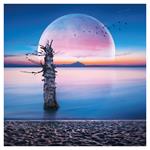 Nástenný poznámkový kalendár 2026 Mesiac