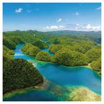 Nástenný poznámkový kalendár 2026 Naša Planéta