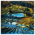 Nástenný poznámkový kalendár 2026 Naša Planéta