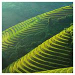 Nástenný poznámkový kalendár 2026 Naša Planéta