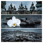 Nástenný poznámkový kalendár 2026 Paleta