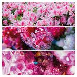 Nástenný poznámkový kalendár 2026 Paleta