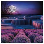 Nástenný poznámkový kalendár 2026 Paleta