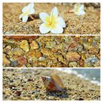 Nástenný poznámkový kalendár 2026 Paleta