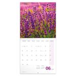 Nástenný poznámkový kalendár 2026 Provence