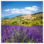 Nástenný poznámkový kalendár 2026 Provence