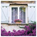 Nástenný poznámkový kalendár 2026 Provence